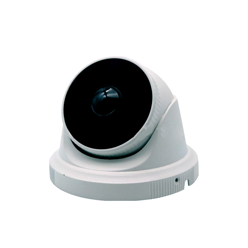 Fisheye camera, dome camera