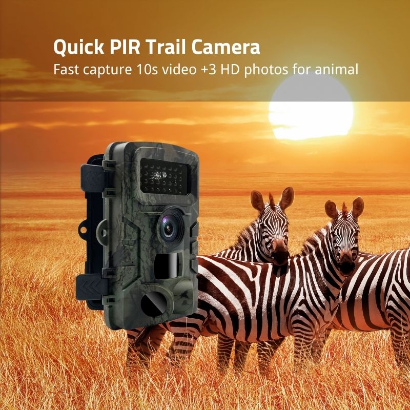 PIR Trail Camera